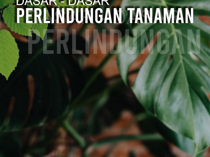 Dasar-Dasar Perlindungan Tanaman – KITA MENULIS