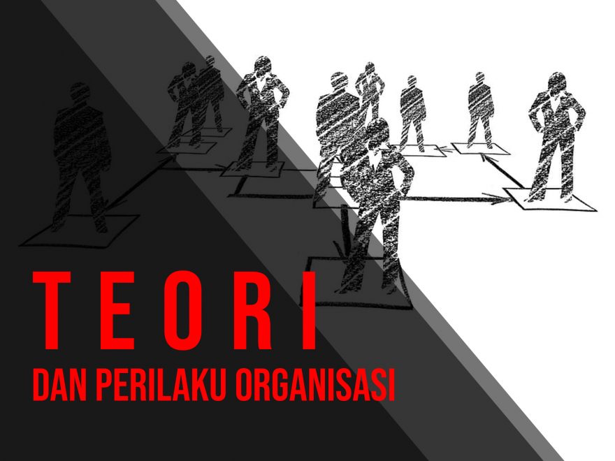 Teori Dan Perilaku Organisasi – KITA MENULIS