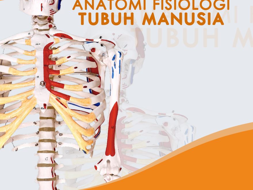 Anatomi Fisiologi Tubuh Manusia – KITA MENULIS