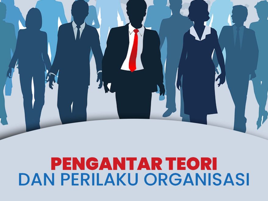 Pengantar Teori Dan Perilaku Organisasi – KITA MENULIS