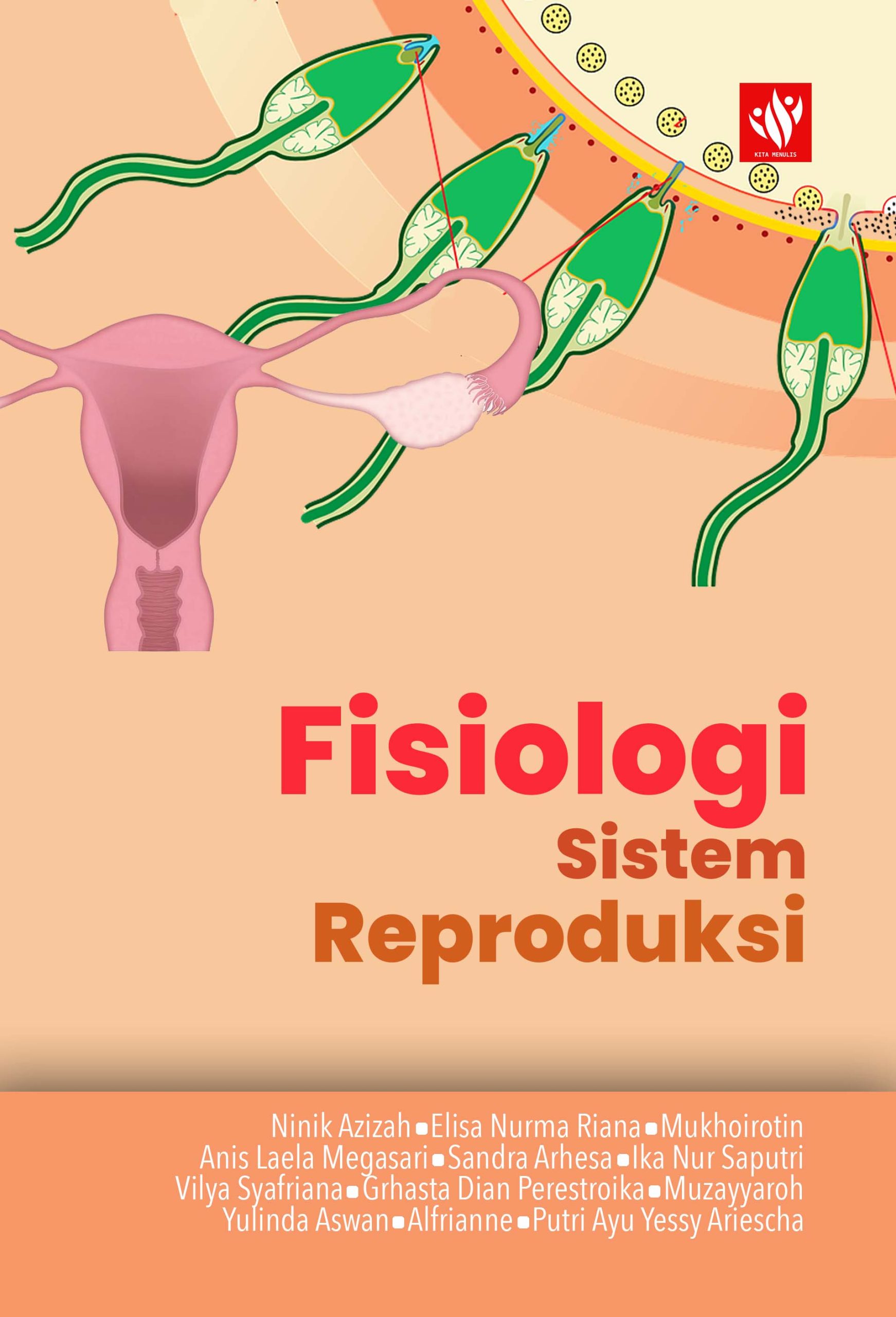 Fisiologi Sistem Reproduksi Kita Menulis